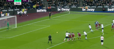 杜埃：我会看世界杯抽签仪式，希望我能参加美加墨世界杯